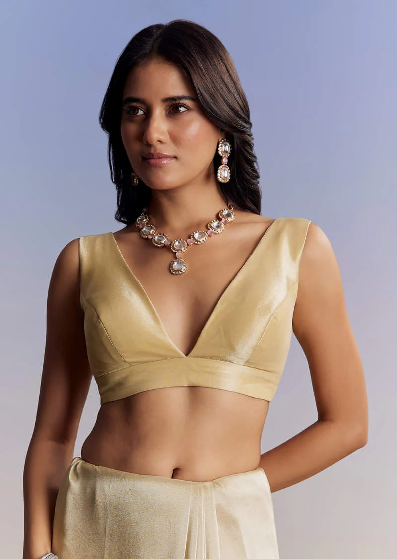 Gold Tissue Saree With Cut Dana Embroidery - Image 7
