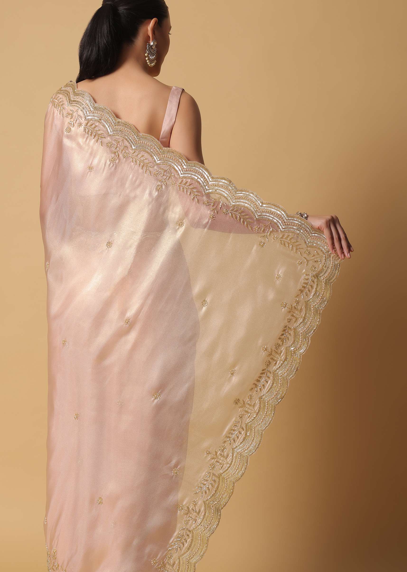 Peach Tissue Saree With Cut Dana Embroidered Borders - Image 10