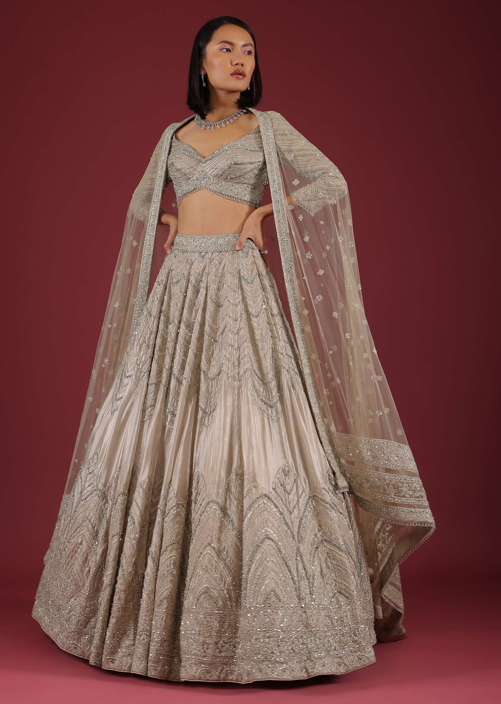 Oyster Organza Lehenga With Cut Dana Embroidery, Crop Top Comes In 3/4Th Sleeves With A Deep V Neckline - Image 6